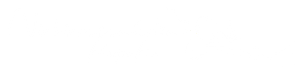 Niebieszczańska Fotografia